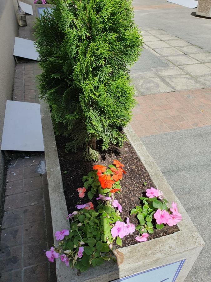 Apartment Resavska Belgrade Luaran gambar